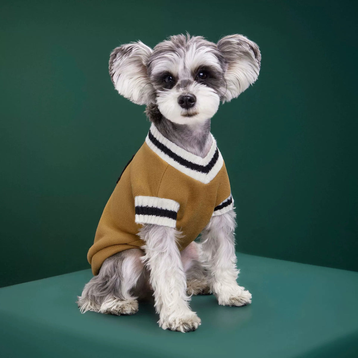 Pet clothing - Knitted winter and autumn jackets